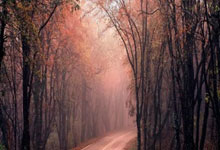 开云:小贾巴里·史密斯空砍15分11篮板两双,格林状态不佳,火箭不敌湖人.