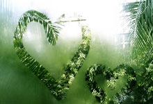 开云：[德甲]第22轮：波鸿3-2拜仁慕尼黑 集锦.