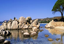 开云:法尔克:拜仁在关注多名攻击手,巴尔科拉是感兴趣的选择之一.